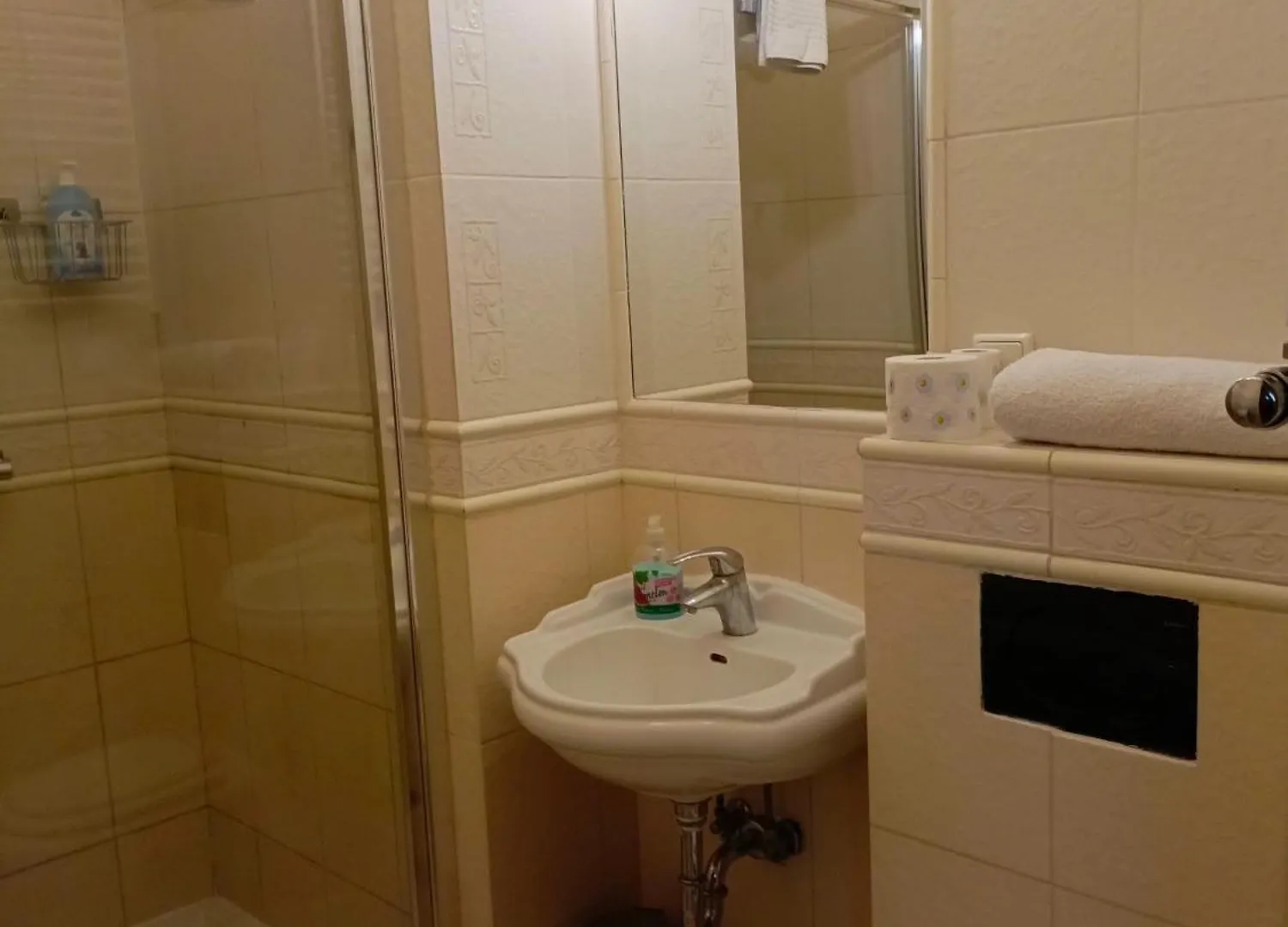 Dwor Pod Rozami Bed and Breakfast Smolec 0*,  Polen