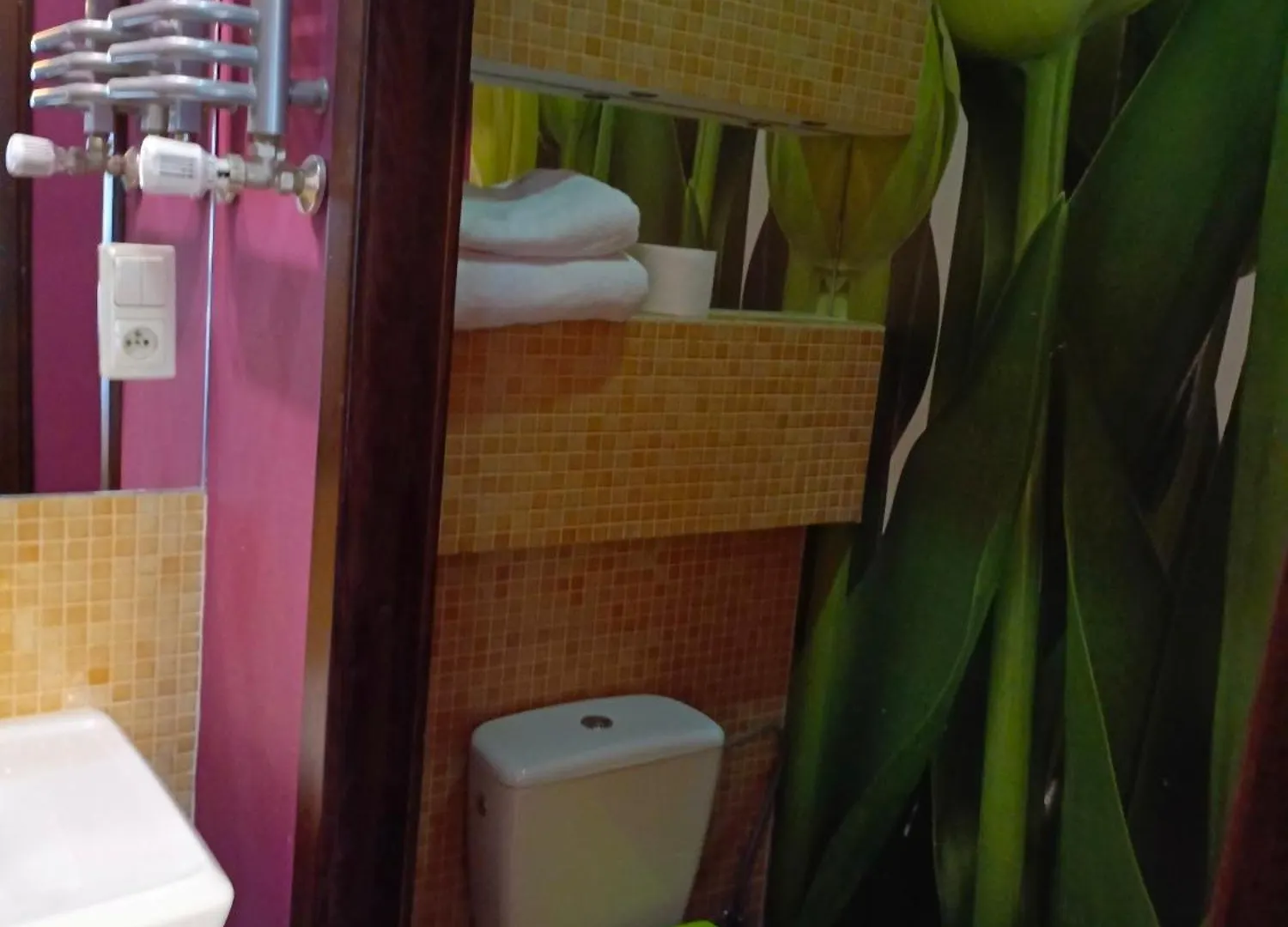 Bed & Breakfast Dwor Pod Rozami Bed and Breakfast Smolec Polen